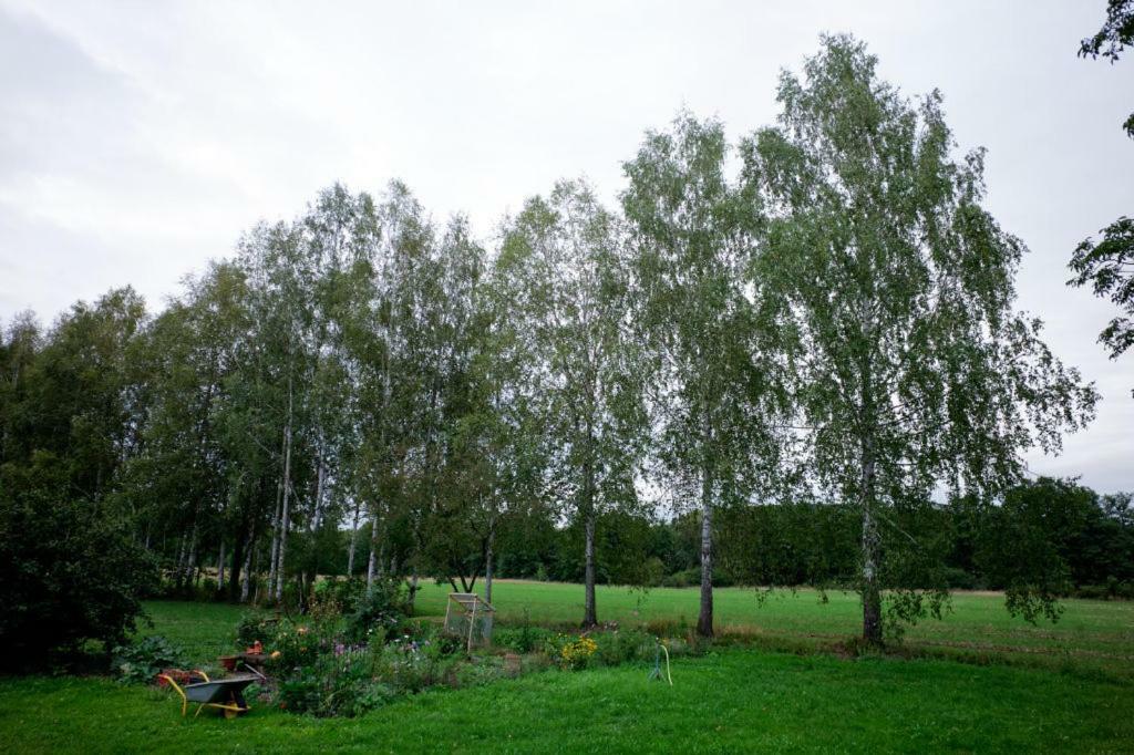 Obere Muehle - Scheunenwohnung Mitten Im Gruenen Baunach Luaran gambar